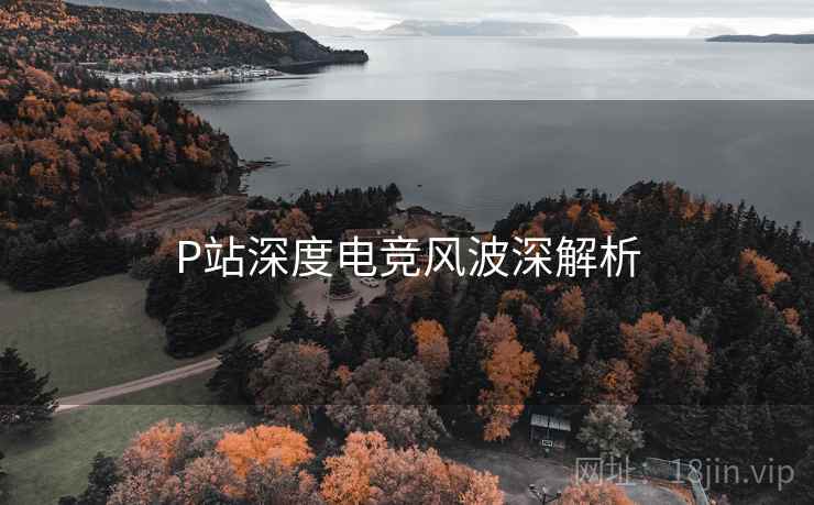 P站深度电竞风波深解析